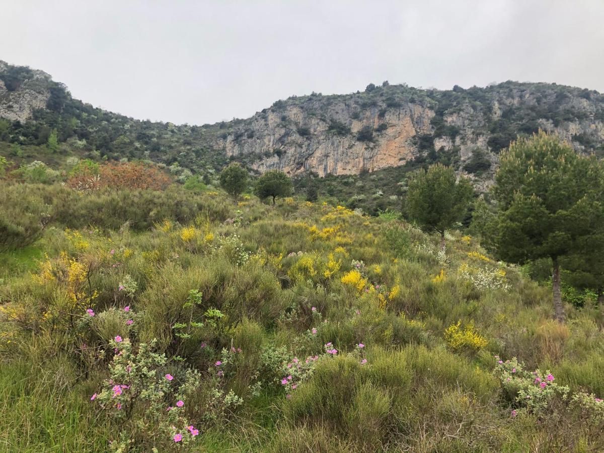 "Aux Balcons Du Riou" Avec Vue Mer 180 Degres Vence Luaran gambar