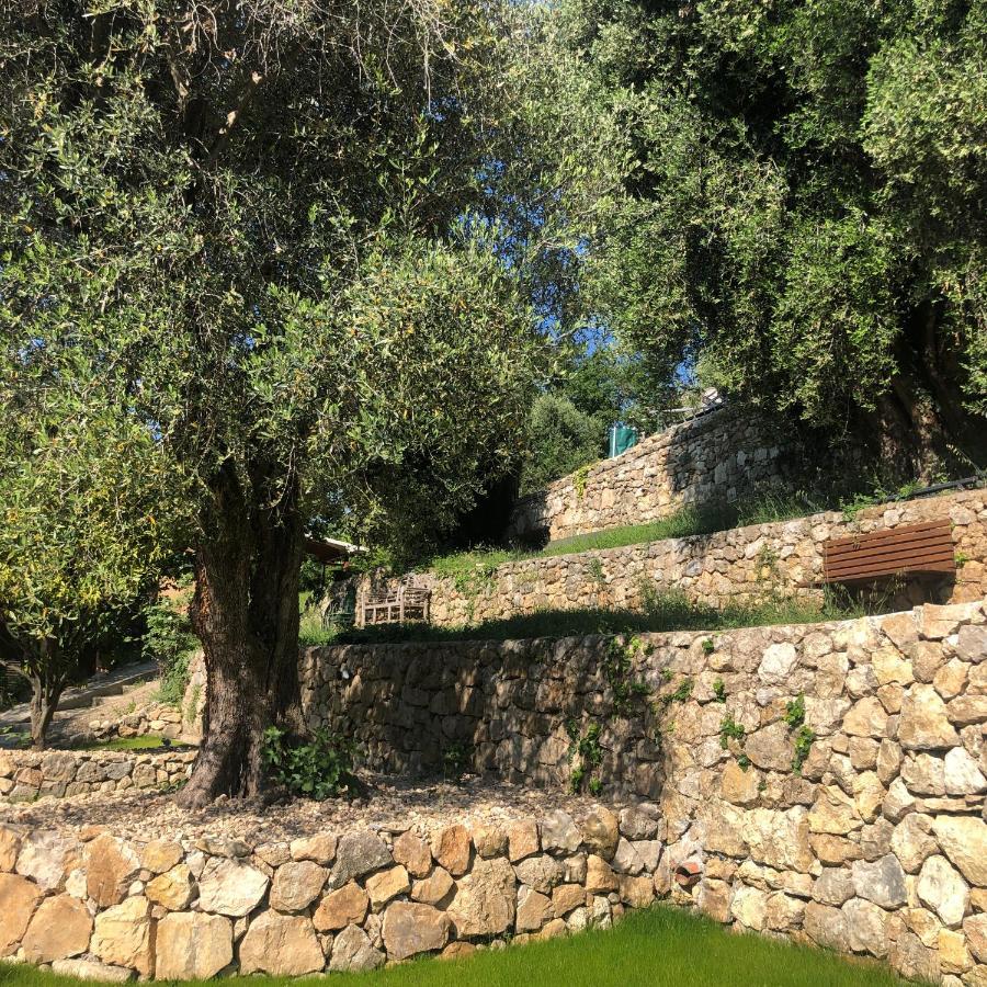 "Aux Balcons Du Riou" Avec Vue Mer 180 Degres Vence Luaran gambar