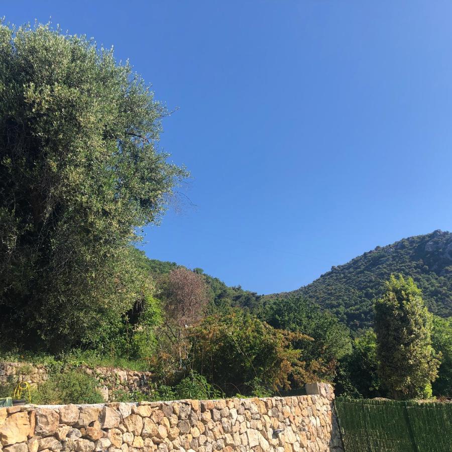 "Aux Balcons Du Riou" Avec Vue Mer 180 Degres Vence Luaran gambar