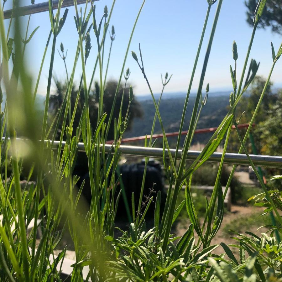 "Aux Balcons Du Riou" Avec Vue Mer 180 Degres Vence Luaran gambar